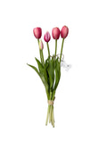 Tulipani fiori di lena fucsia