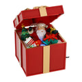 Gift Box B.Nat.Musicale LED 12X13Xh14Cm