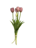 Tulipani fiori di lena malva
