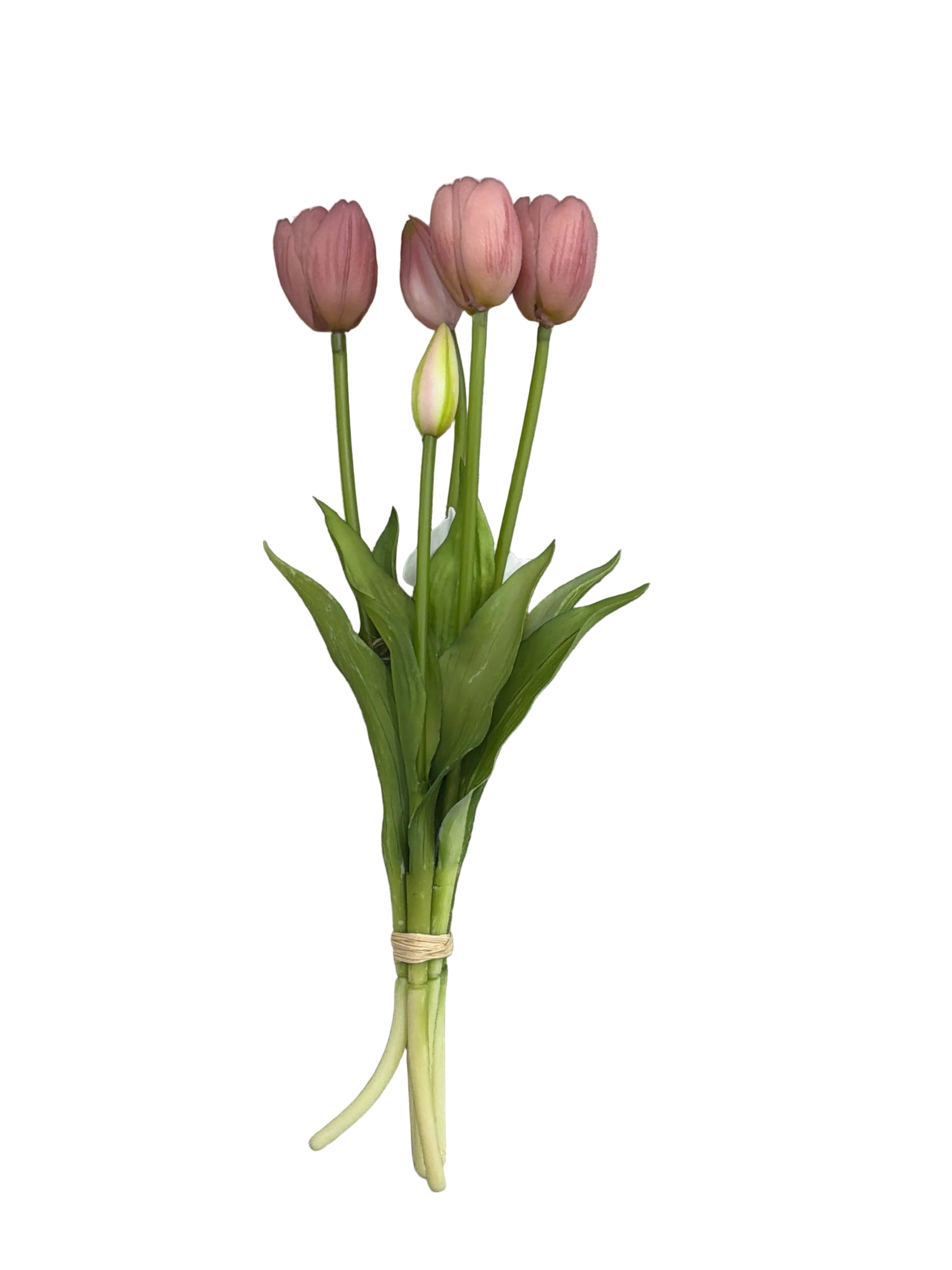 Tulipani fiori di lena malva