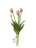Tulipani fiori di lena rosa