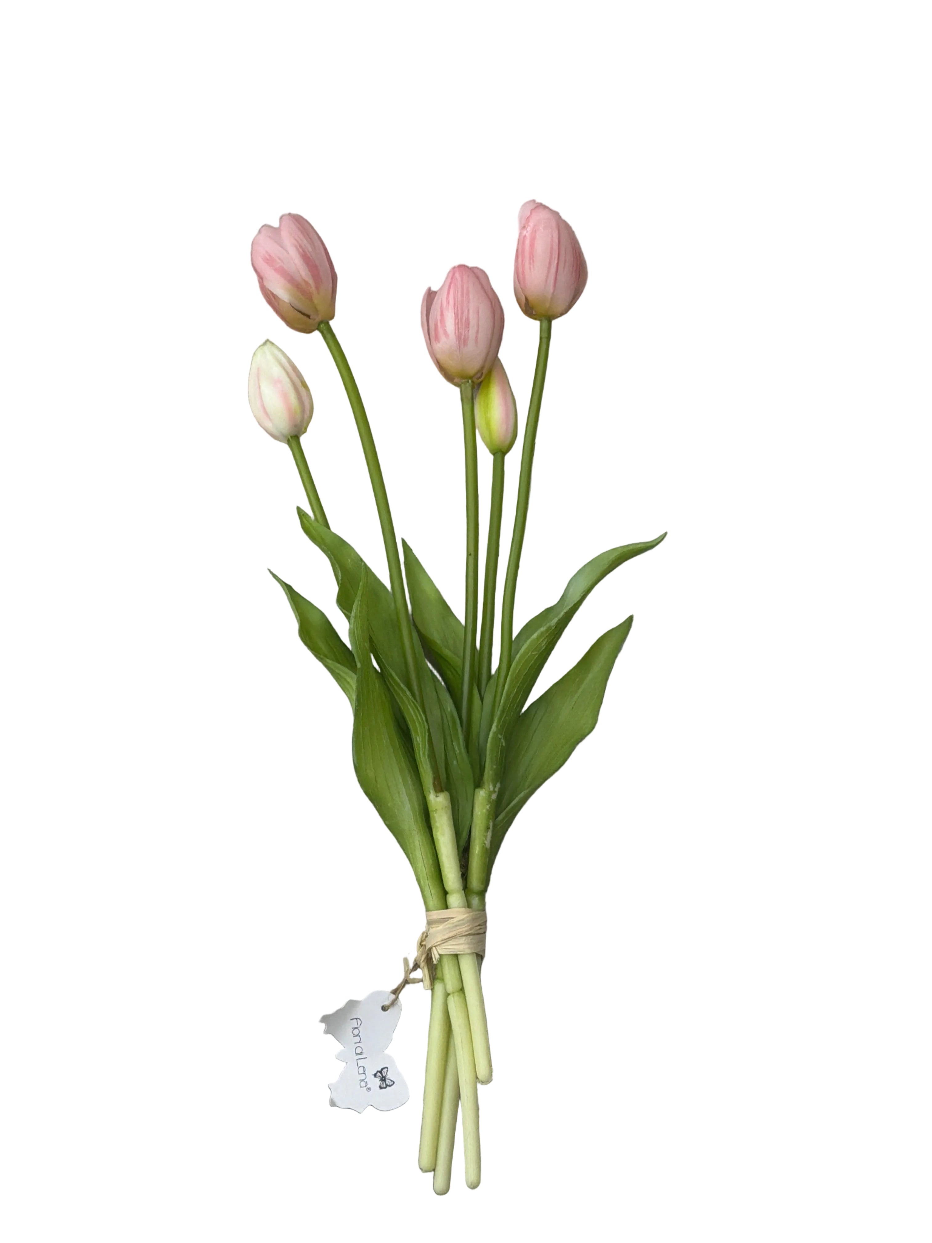 Tulipani fiori di lena rosa