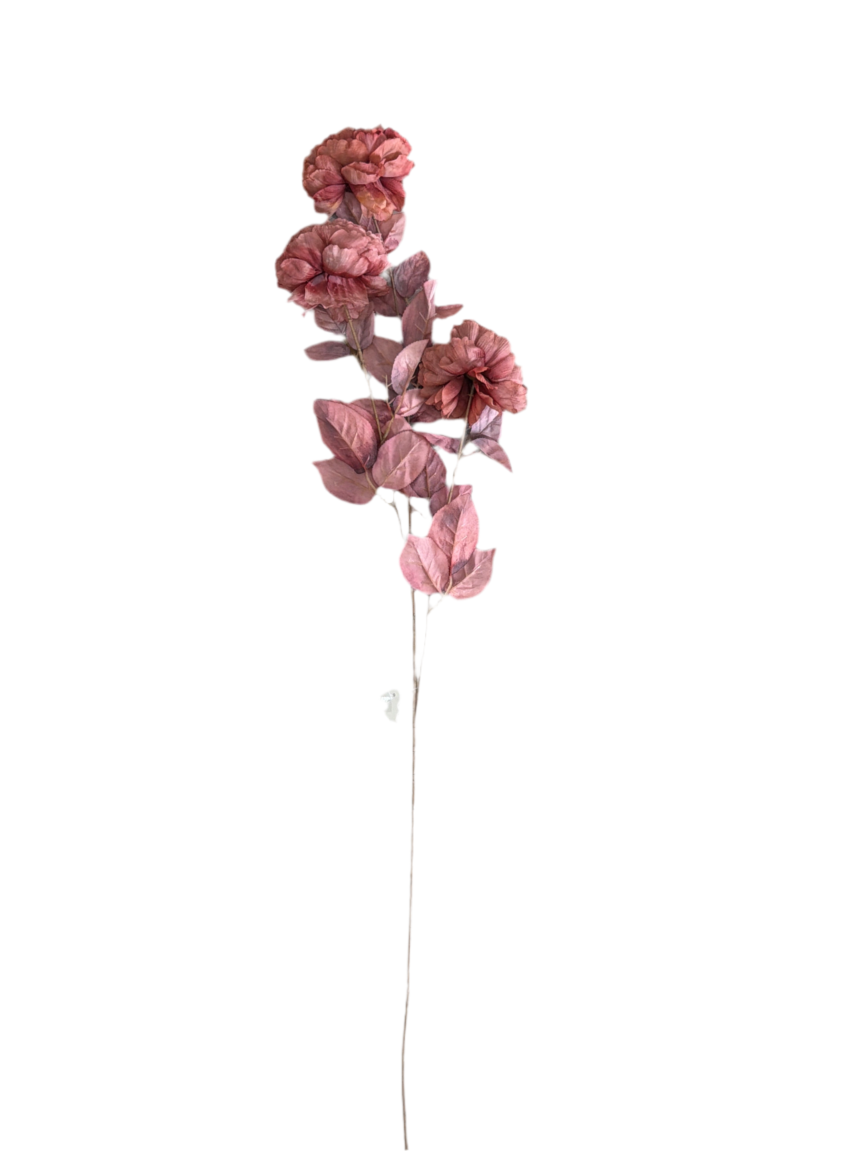 Ramo peonia