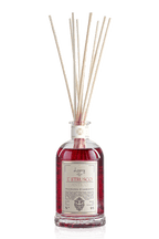 L' ETRUSCO ANTICO