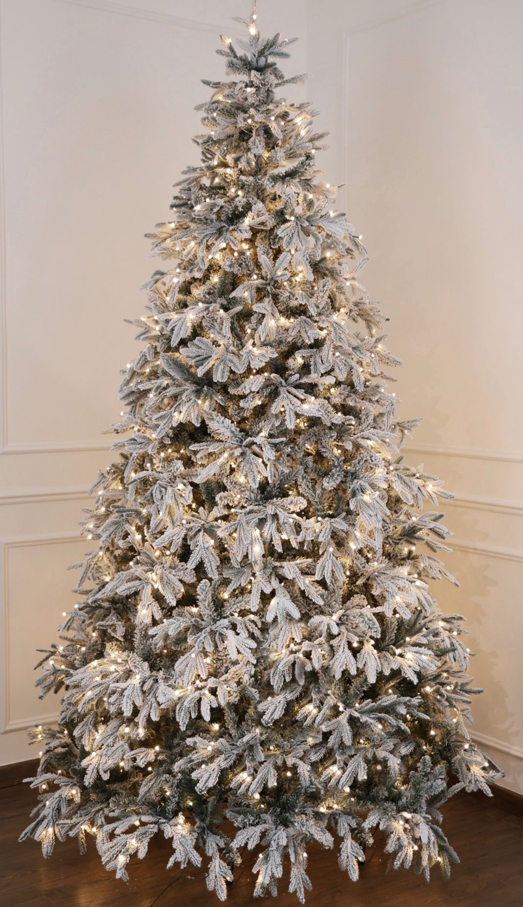 Pino innevato VANCOUVER H180