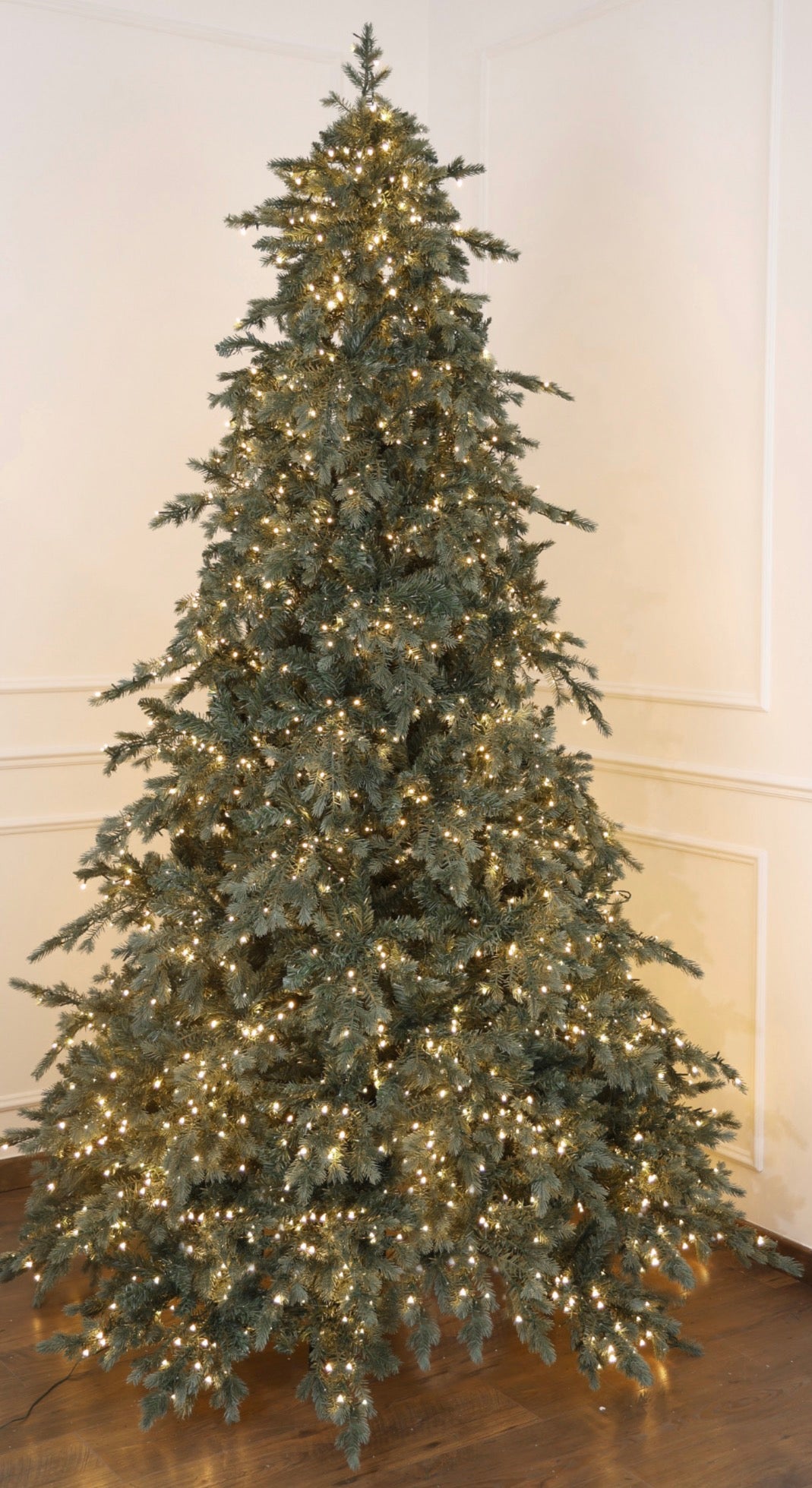 Pino S.Moritz H210 Fiori di Lena