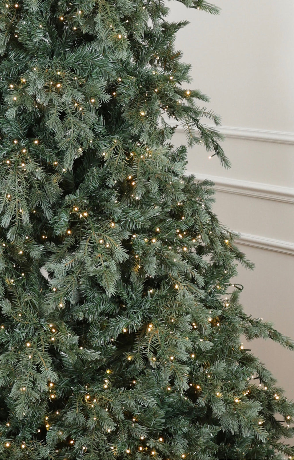 Pino S.Moritz H210 Fiori di Lena