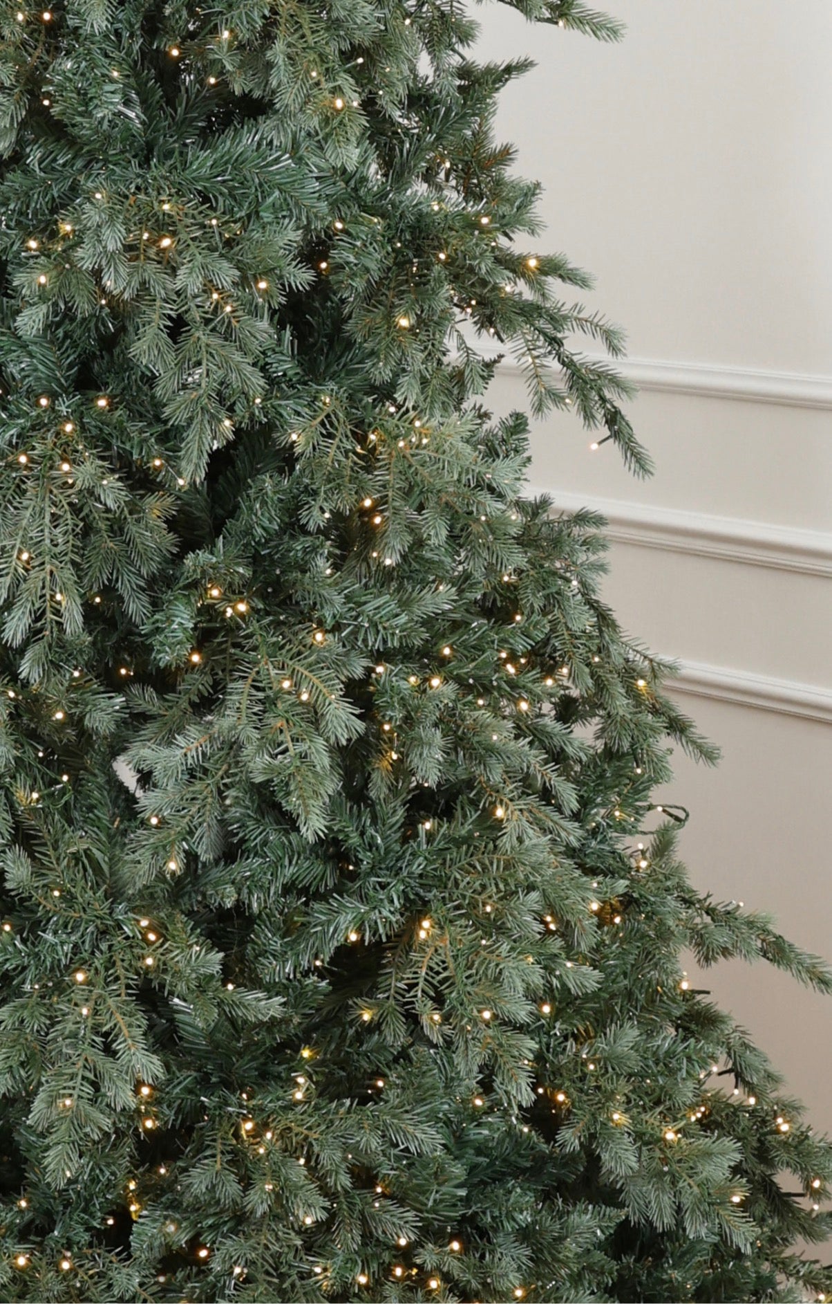 Pino S.Moritz H210 Fiori di Lena