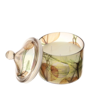 CANDELA ALKEKENGI DIA.9,5XH12CM 260G