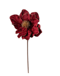 Magnolia stem burgundy 22 pollici