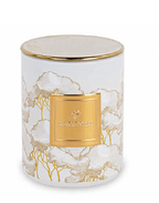 200298S CANDELA INTRECCI AVORIO C/SCAT.D90XH.100