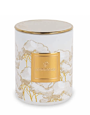 200297S CANDELA INTRECCI AVORIO C/SCAT.D.60XH.80