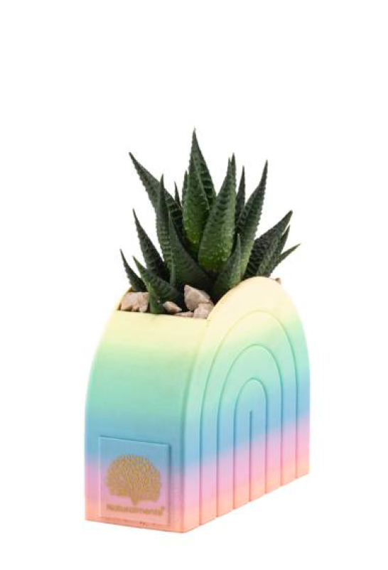 Arcobaleno