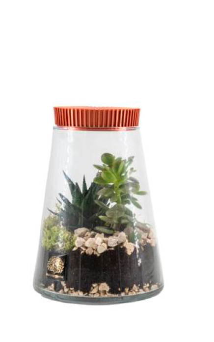 Terrarium
