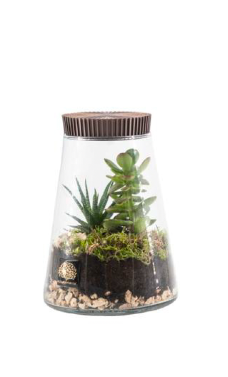 Terrarium