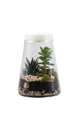 Terrarium