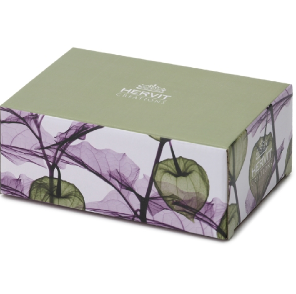 CORNICE VETRO ALKEKENGI VERDE 24X29CM