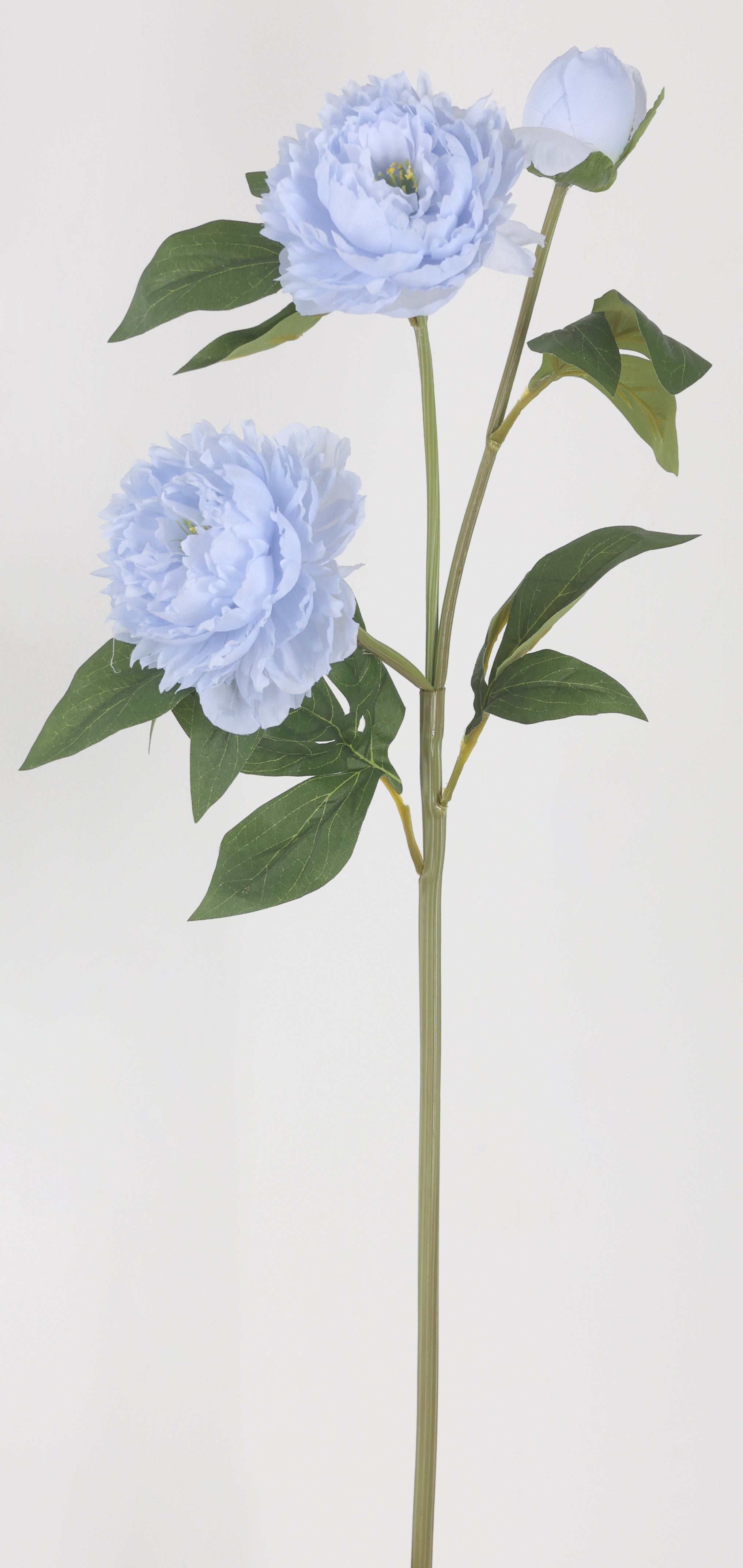 Ramo peonia con 2 fiori H 75 cm